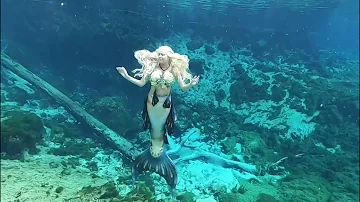 Mermaid swimming in Florida springs  Jolly sailor bold/Ashley Serena