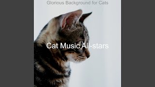 Subtle Music for Impression