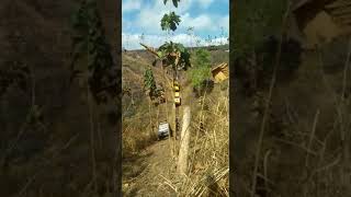 Asm Tech Acarajeep Jb Pro 41