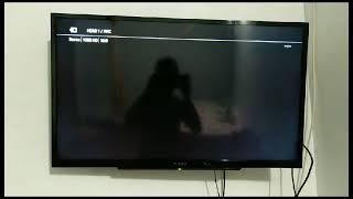 solid ,8181 set top box2  2023 Profile