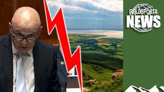 Northern Ireland hunting ban: what does it mean?