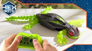 Hex Bots | TV Commercial | Mechimals Wall Crawler Gecko