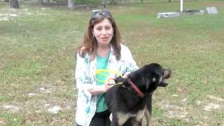 Brunswick Beat for May 18, 2011