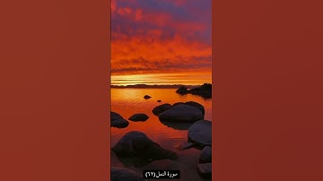 حالات واتس سورة النمل الآية٦٢ بصوت #عبدالله_الموسى