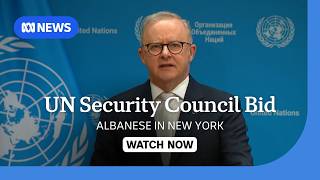 Details IN FULL: Albanese says UN Security Council campaign is in Australia's 'national interest' | ABC NEWS Update