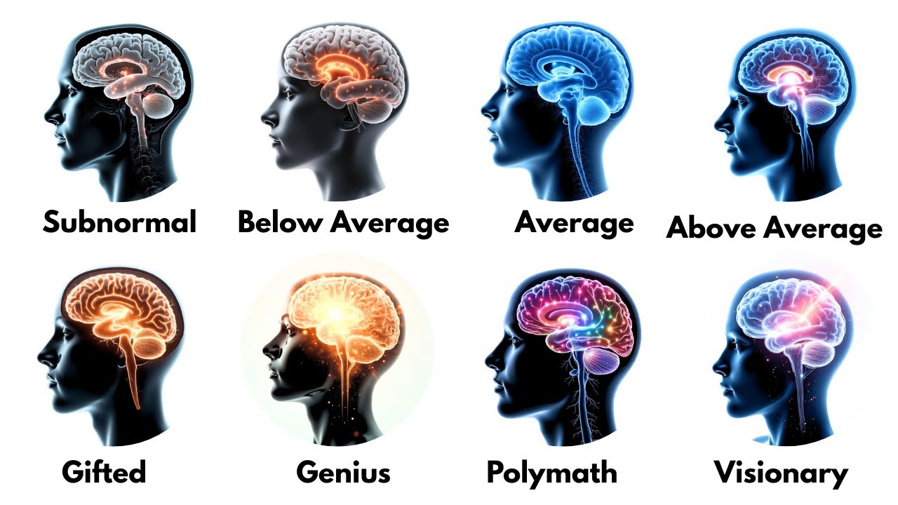 Every Level of Human Intelligence Explained!