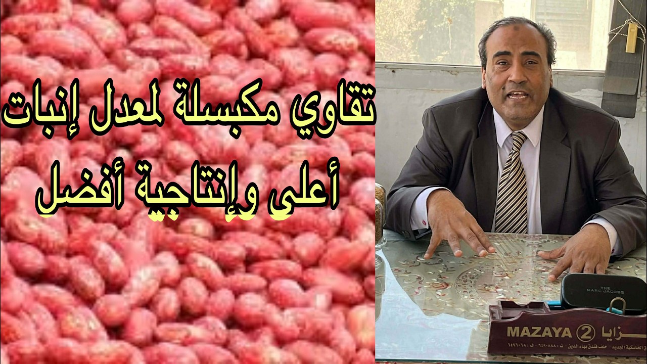 التقاوي المُكبسلة سر زيادة الإنتاجية وتحسين معدلات الإنبات