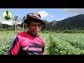 Martin Paquiao from Ormoc, Leyte, and his Combination crops, eggplant & chinese cabbage