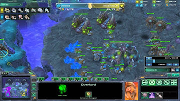 BlizzCon 2011 Invitational Nestea [Z] Vs BratOk [T]Game 2 Part 1