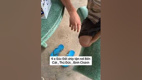 4 e Sóc Đất về nhà mới - Trương Tuấn Sóc Cảnh
