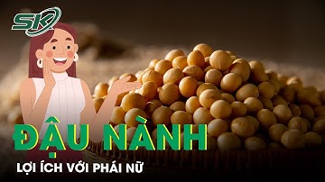 Lợi Ích Của Đậu Nành Với Phái Nữ | SKĐS