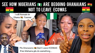 видео: Привет, Гана 🇬🇭 Посмотри, как нигерийцы 🇳🇬 умоляют ганцев 🇬🇭 не выходить из ЭКОВАС... #Гана картинка: Привет, Гана 🇬🇭 Посмотри, как нигерийцы 🇳🇬 умоляют ганцев 🇬🇭 не выходить из ЭКОВАС... #Гана