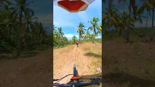 Track read stage 1 - Catmon Enduro 2026 #downhill #enduro #mtblife #transitionbikes