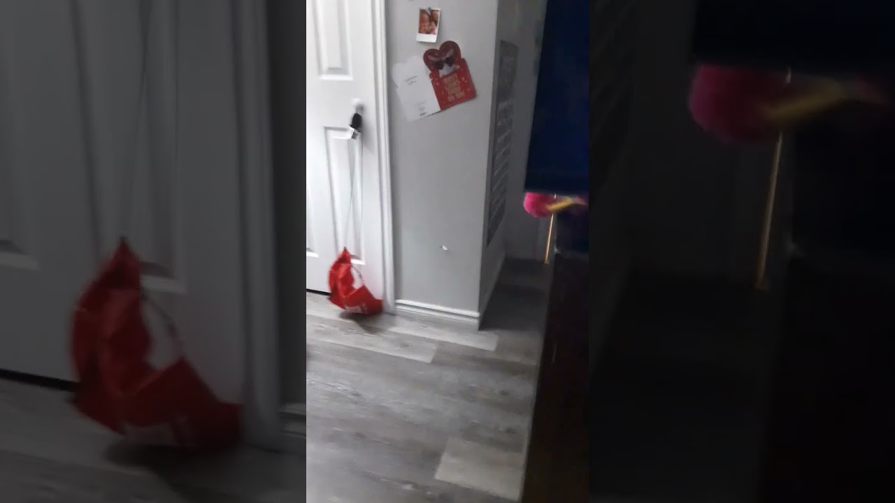 reacting to the first computer to ever sing