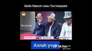 Максат  Ажы Токтомушев