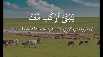سورة هود (الآية ٣٦ - ٤٧) القارئ ادريس ابكر