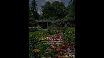 القرآن الكريم # لا تهرب # تلاوة خاشعة ❤️ #اكسبلور #لايك #القرآن_الكريم #