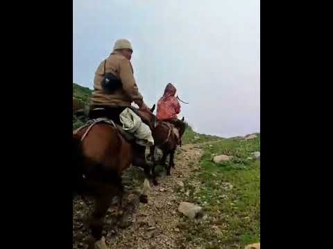 Көлдүк айылынын жайлоолору Камыр Ата Көк көлгө кеткен жолдор 