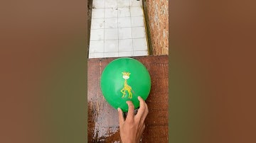 Experiment: Do water balloons explode if dropped from a height?