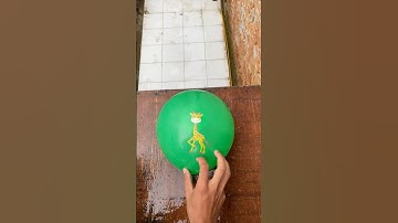 Experiment: Do water balloons explode if dropped from a height?