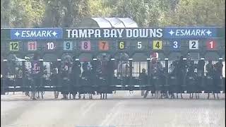 Tampa Bay Downs, Race 8 -25 MAR 2026