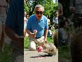 "The Squirrel Stole My Ice Cream! 😂🐿️"