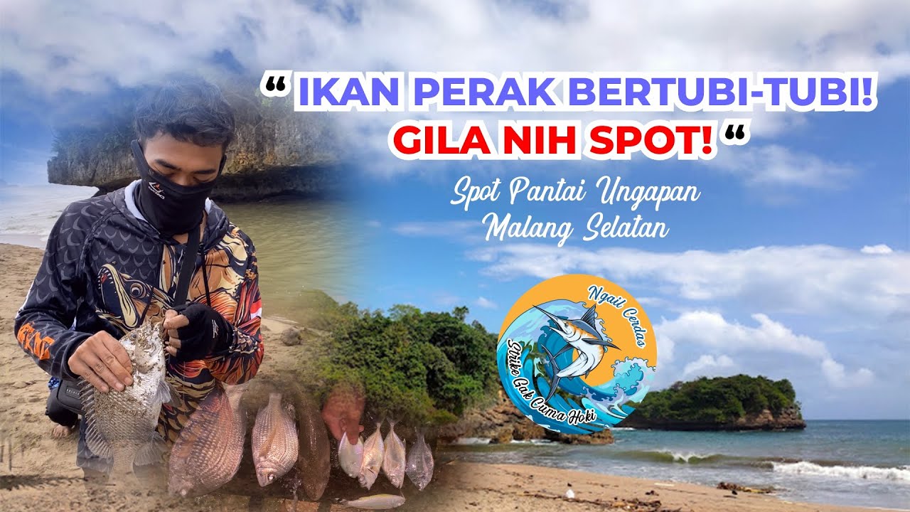 “Gila! Strike Silver Bream & Baby GT Berturut-turut di Pantai Ungapan!”