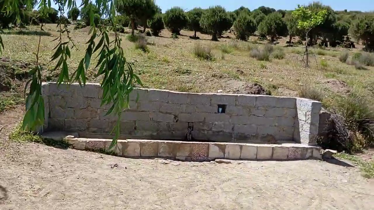 Ayvalık Altınova. Kaynak Suyu Alıyoruz.