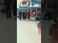 الم ترى كيف ابدع ربك بالعباس الم ترى اوفى واشجع من كل الناس الله من سواه كولشي صاح الله الم ترى كيف ابدع ربك بالعباس الم ترى اوفى واشجع من كل الناس الله من سواه كولشي صاح الله
