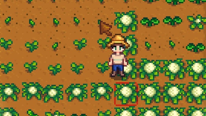 Salmence on X: I spent a lot of time on this video. I thought I'd take a  dive into all of the weird speedruns I see floating around for Stardew  Valley!