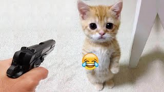 😸🐱 Funniest Dogs and Cats 😍😆 Funniest Animals 2024 # 21