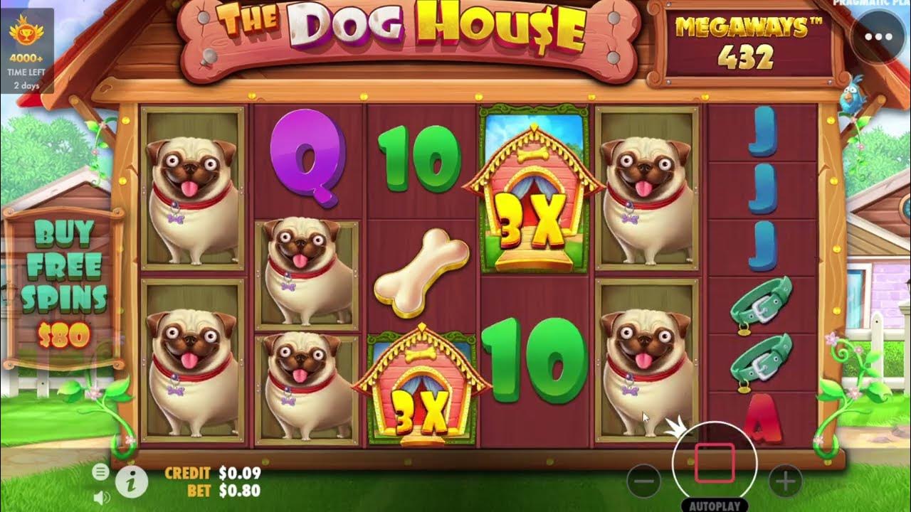 The dog house megaways