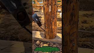 Traditional Wooden Pole Installation | Manual Timber Foundation Technique.