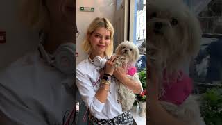 Lilliput the Maltese meets Pixie Geldof #celebrity dogmodel #animaltalent