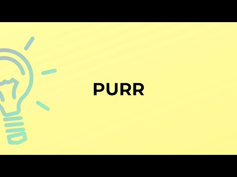 What is the meaning of the word PURR?
