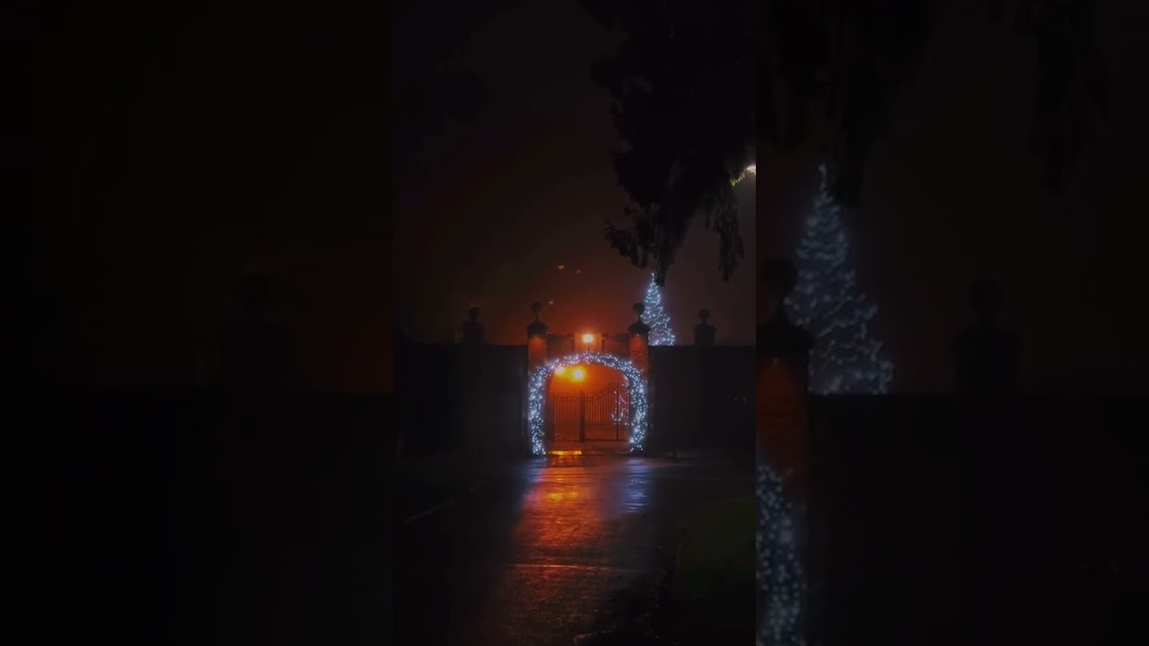 Christmas Lights tiktok ellenpaige YouTube