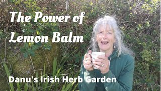 The Power of Lemon Balm