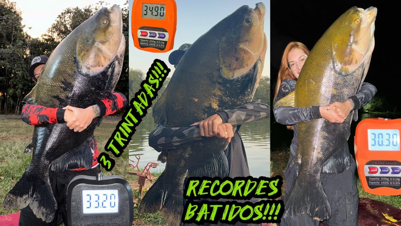 3 TRINTADAS E RECORDES BATIDOS!! CÓRREGO DAS ANTAS