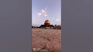 ونداء الأقصي أبكاني فجر وجداني وضمير الأمة يارب مات بلا جاني 