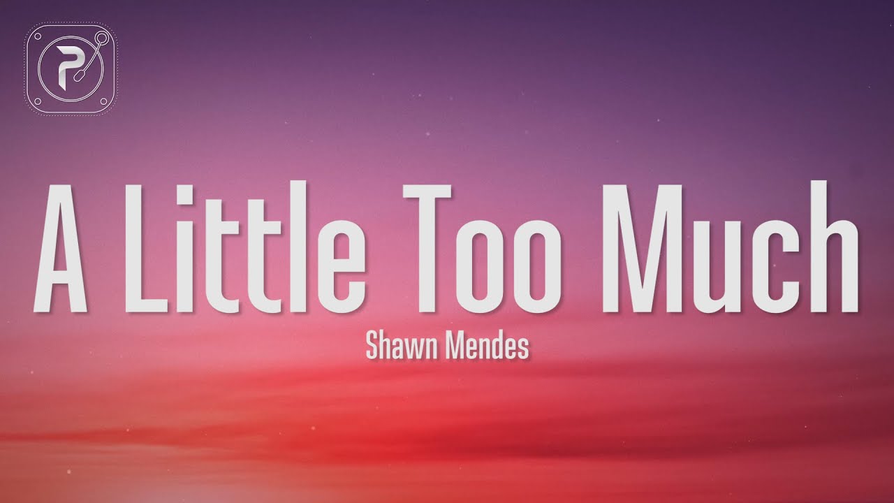 Tradução de It'll Be Okay: saiba mais sobre a música de Shawn Mendes