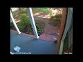 Raw surveillance footage of Paul Briggs Leaving Home