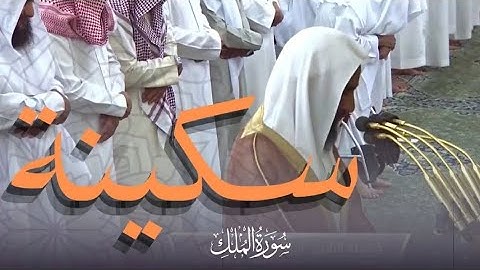 سورة الملك كاملة بتحبير هادئ وجميل، الشيخ أحمد بن طالب 😍