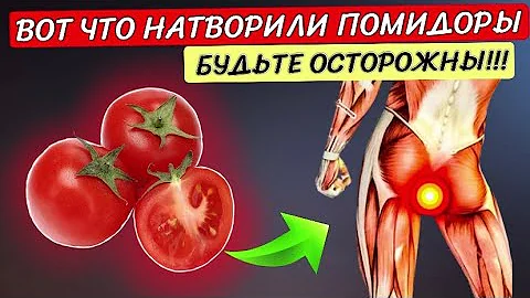 Люди едят ПОМИДОРЫ, но 85% даже не знают о том, ЧТО ТВОРЯТ ПОМИДОРЫ с организмом человека.