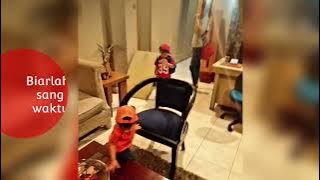 Bebi Romeo - Perbedaan (Ari Lasso) Lirik - From Music Everywhere