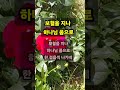 보혈을 지나 하나님 품으로