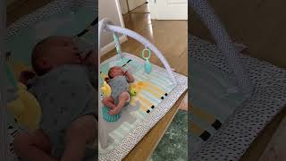 Miniature Dachshund Asks Newborn To Throw Ball