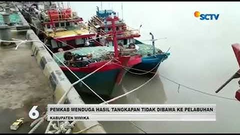 Pemda Mimika Perketat Pengawasan Hasil Tangkapan Ikan