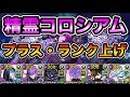 【パズドラ】ロゼッタ3枚育成したい人向け！一部報酬確定！1周8.9億経験値！全敵対応！星を紡ぐ精霊コロシアム！絢爛たる月花！1周4~5分台！ヒトヨタケ×ガチャどら編成でランク上げ周回！