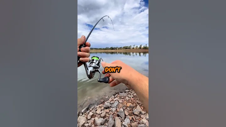 The Perfect Fishing Starter Kit🎣