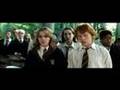 Ron &amp; Hermione - I don&#39;t wanna fight no more.